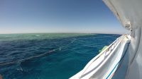 Egypt_2014_02_N12