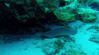 Egypt_2014_02_N15