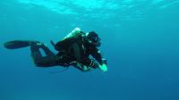 Egypt_2014_02_N22